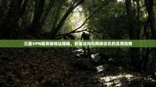 三星VPN服务器地址揭秘，安全访问与网络优化的实用指南