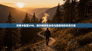 双网卡配置VPN，提升网络安全性与隔离性的实用方案