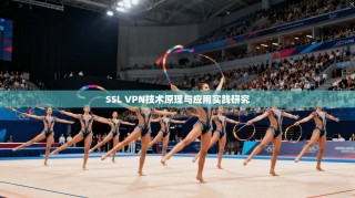 SSL VPN技术原理与应用实践研究