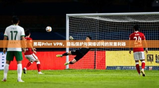 黑莓Privr VPN，隐私保护与网络访问的双重利器