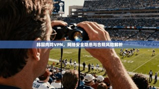 韩国肉鸡VPN，网络安全隐患与合规风险解析