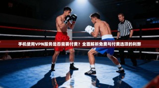 手机使用VPN服务是否需要付费？全面解析免费与付费选项的利弊