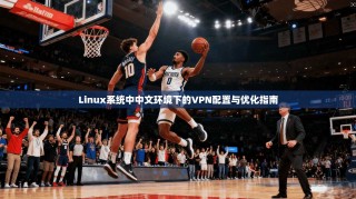 Linux系统中中文环境下的VPN配置与优化指南