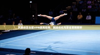 风暴战区台服VPN使用指南，网络优化与安全策略解析