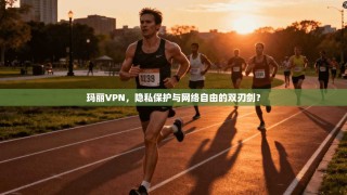 玛丽VPN，隐私保护与网络自由的双刃剑？