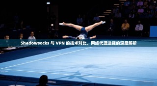 Shadowsocks 与 VPN 的技术对比，网络代理选择的深度解析