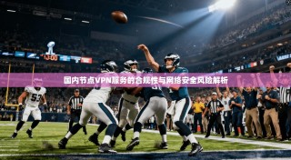 国内节点VPN服务的合规性与网络安全风险解析
