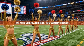 SSL VPN Web接入技术详解，安全与便捷的完美平衡