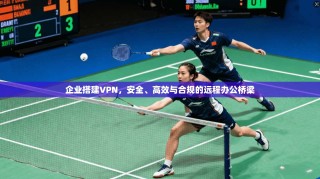 企业搭建VPN，安全、高效与合规的远程办公桥梁