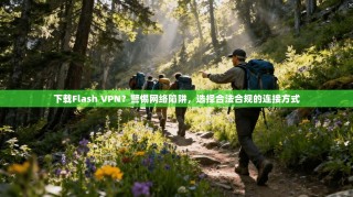下载Flash VPN？警惕网络陷阱，选择合法合规的连接方式