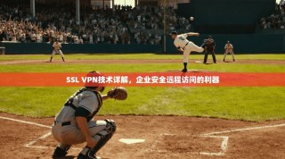 SSL VPN技术详解，企业安全远程访问的利器