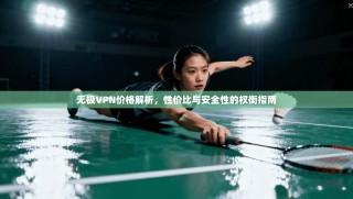 无极VPN价格解析，性价比与安全性的权衡指南