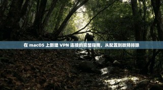 在 macOS 上新建 VPN 连接的完整指南，从配置到故障排除