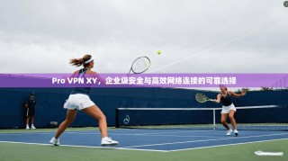 Pro VPN XY，企业级安全与高效网络连接的可靠选择
