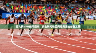 苏大网VPN使用指南，安全访问校园网络资源的必备工具