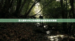 深入解析VPN上传速度影响因素及优化策略