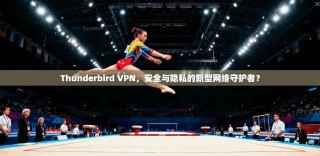 Thunderbird VPN，安全与隐私的新型网络守护者？