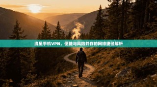流星手机VPN，便捷与风险并存的网络捷径解析