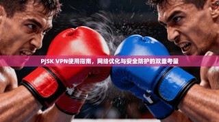 PJSK VPN使用指南，网络优化与安全防护的双重考量