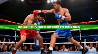 iOS设备上萝卜VPN使用风险与网络安全隐患深度解析