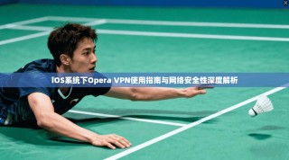 iOS系统下Opera VPN使用指南与网络安全性深度解析