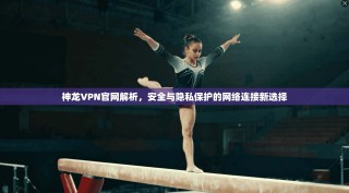神龙VPN官网解析，安全与隐私保护的网络连接新选择