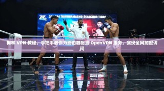 梅林 VPN 教程，手把手教你为路由器配置 OpenVPN 服务，实现全网加密访问