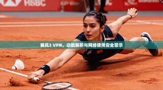 赛风3 VPN，功能解析与网络使用安全警示