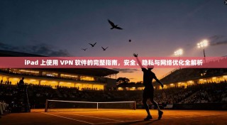 iPad 上使用 VPN 软件的完整指南，安全、隐私与网络优化全解析