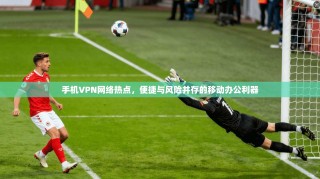 手机VPN网络热点，便捷与风险并存的移动办公利器