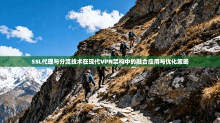 SSL代理与分流技术在现代VPN架构中的融合应用与优化策略