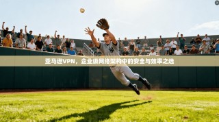 亚马逊VPN，企业级网络架构中的安全与效率之选
