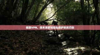 极致VPN，技术革新与隐私保护的双刃剑