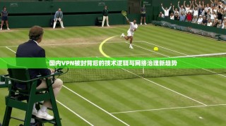 国内VPN被封背后的技术逻辑与网络治理新趋势