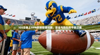 iOS设备上VPN权限管理详解，安全与隐私的平衡之道
