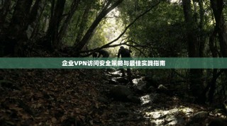 企业VPN访问安全策略与最佳实践指南