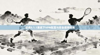 安卓5.1.1系统下VPN配置与安全使用指南
