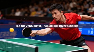 深入解析VPN配置数据，从基础到高级的网络工程师指南