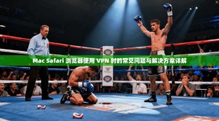 Mac Safari 浏览器使用 VPN 时的常见问题与解决方案详解