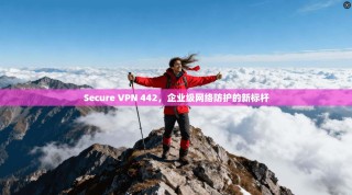 Secure VPN 442，企业级网络防护的新标杆