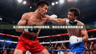 深入解析NYDUS-VPN价格体系，性价比与安全性的权衡之道
