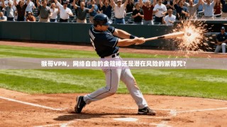 猴哥VPN，网络自由的金箍棒还是潜在风险的紧箍咒？