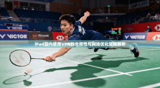iPad国内使用VPN的合规性与网络优化策略解析
