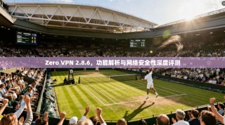 Zero VPN 2.8.6，功能解析与网络安全性深度评测