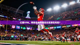 红猫VPN，网络自由的捷径还是潜在风险？