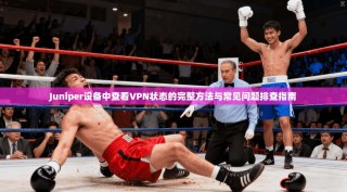 Juniper设备中查看VPN状态的完整方法与常见问题排查指南