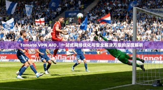 Tomato VPN AIO，一站式网络优化与安全解决方案的深度解析