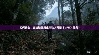 如何安全、合法地使用虚拟私人网络（VPN）服务？