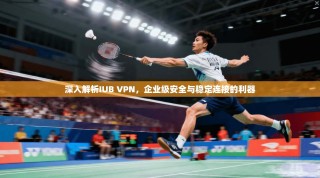 深入解析IUB VPN，企业级安全与稳定连接的利器