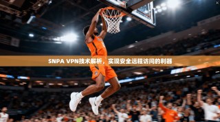 SNPA VPN技术解析，实现安全远程访问的利器